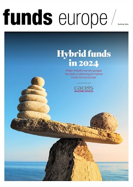 Hybrid Funds in 2024